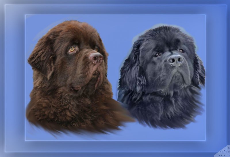 Фотография № 182582