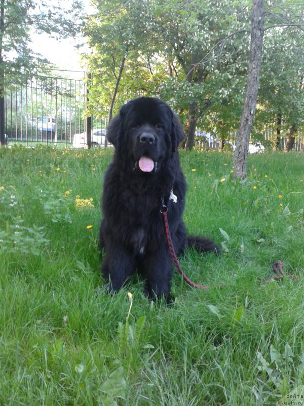 Фото: Юлия Якушева