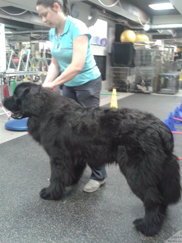 Фотография № 182597