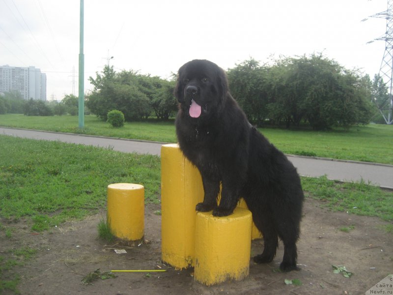 Фотография № 182598