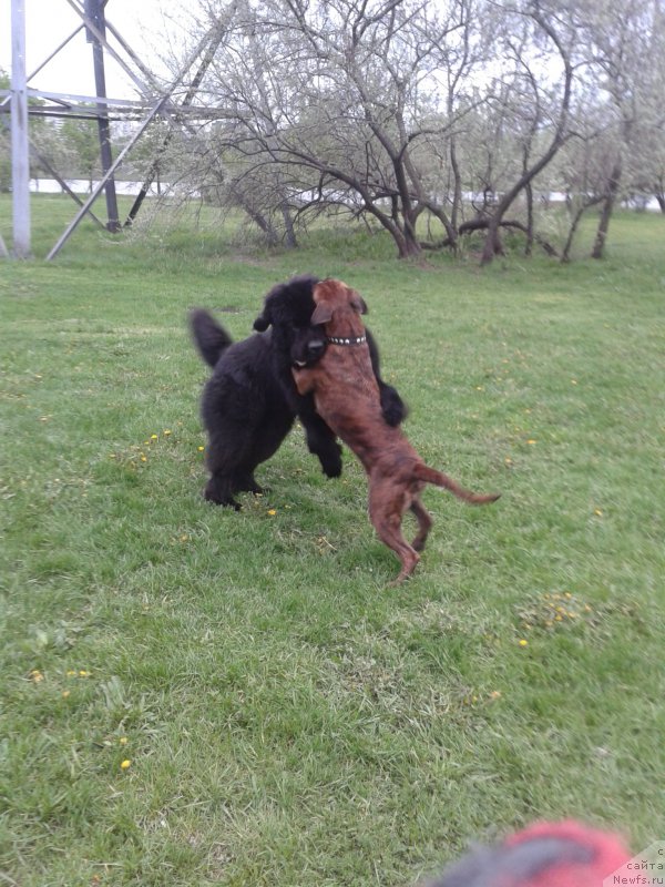 Фотография № 182604