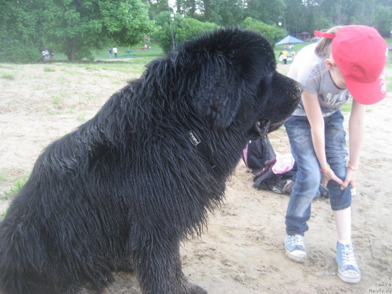 Фото: Юлия Якушева