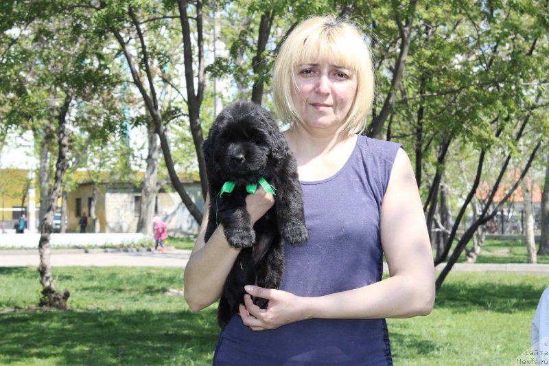 Фотография № 182614