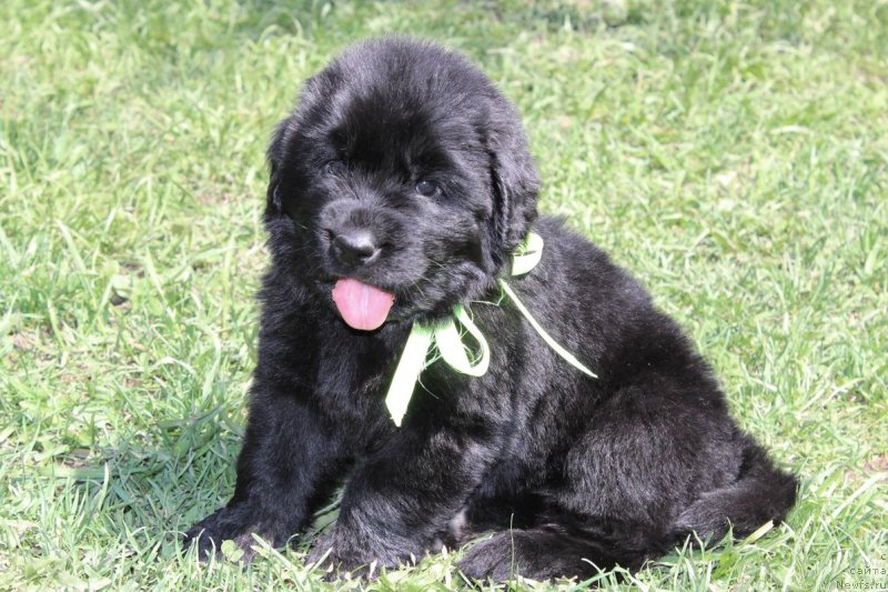 Фотография № 182619