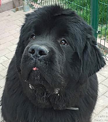 Фото: Бегущая по волнам Чек Пойнт