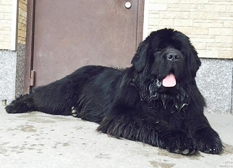 Фото: Бегущая по волнам Чек Пойнт