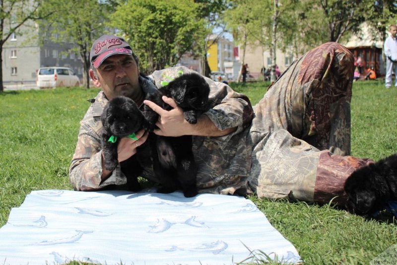 Фотография № 182631