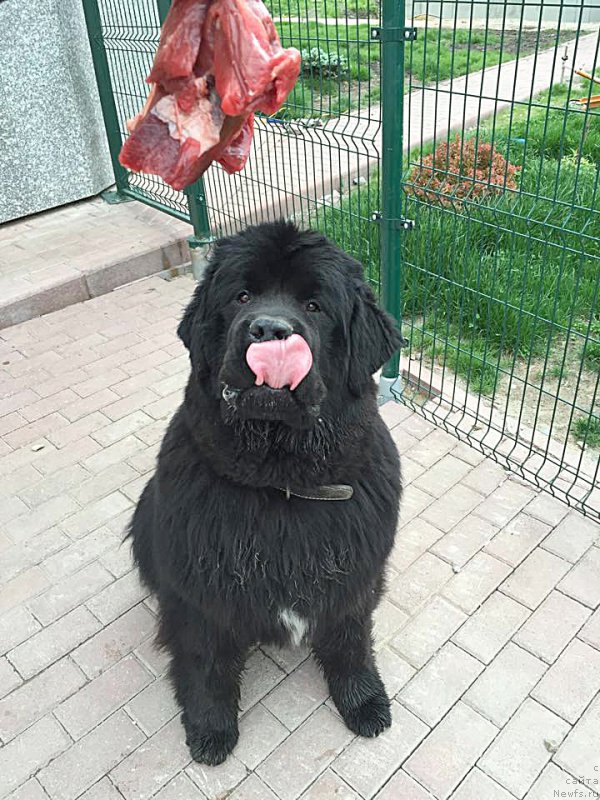 Фото: Бегущая по волнам Чек Пойнт