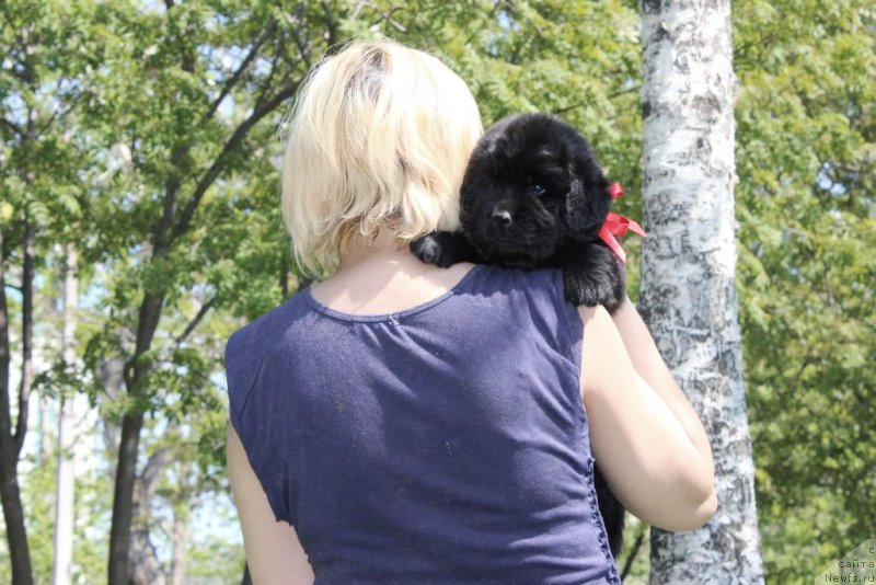 Фотография № 182645