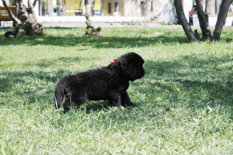 Фотография № 182647