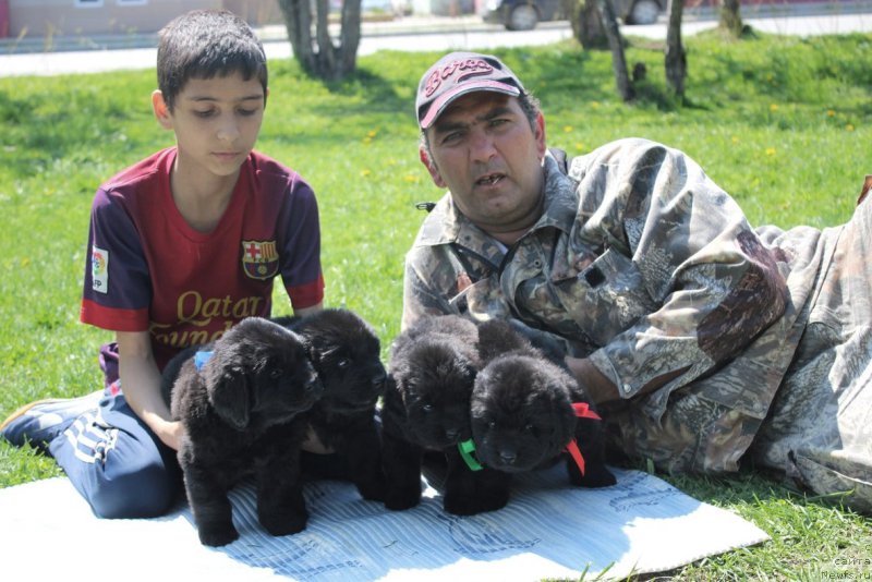 Фотография № 182656