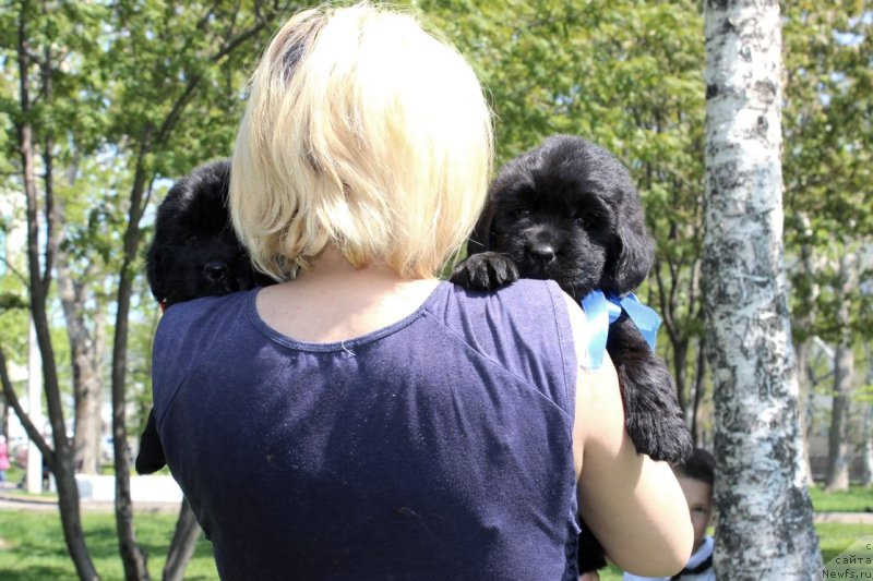 Фотография № 182659