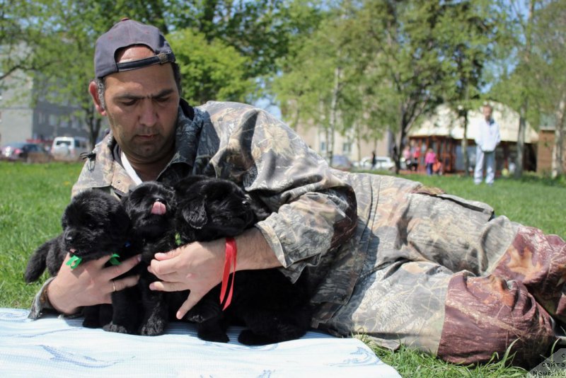 Фотография № 182661