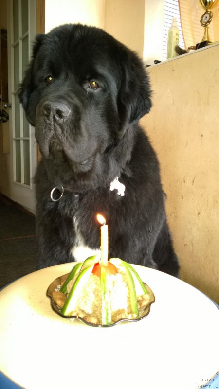 Фотография № 182669