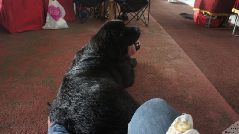 Фотография № 182676