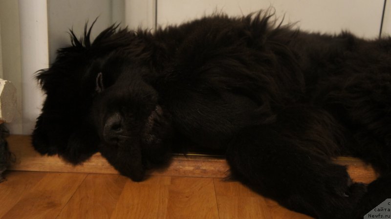 Фотография № 182677