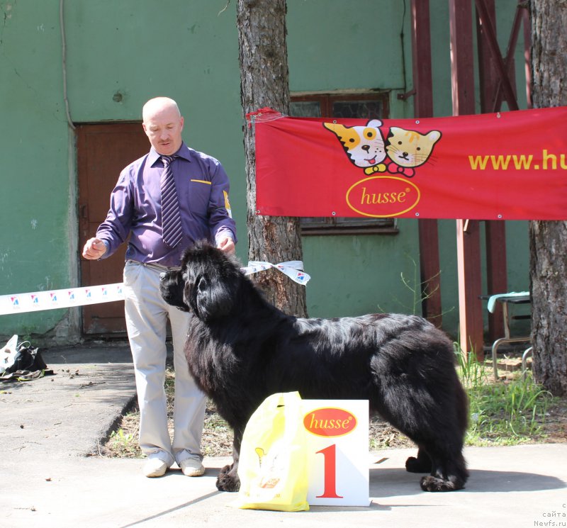 Фотография № 182678