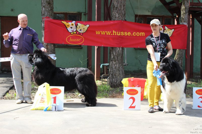 Фотография № 182680