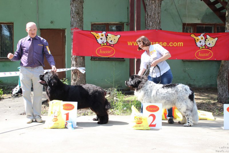 Фотография № 182685