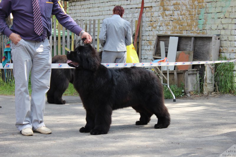 Фотография № 182686