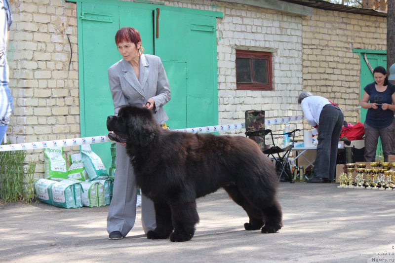 Фотография № 182688