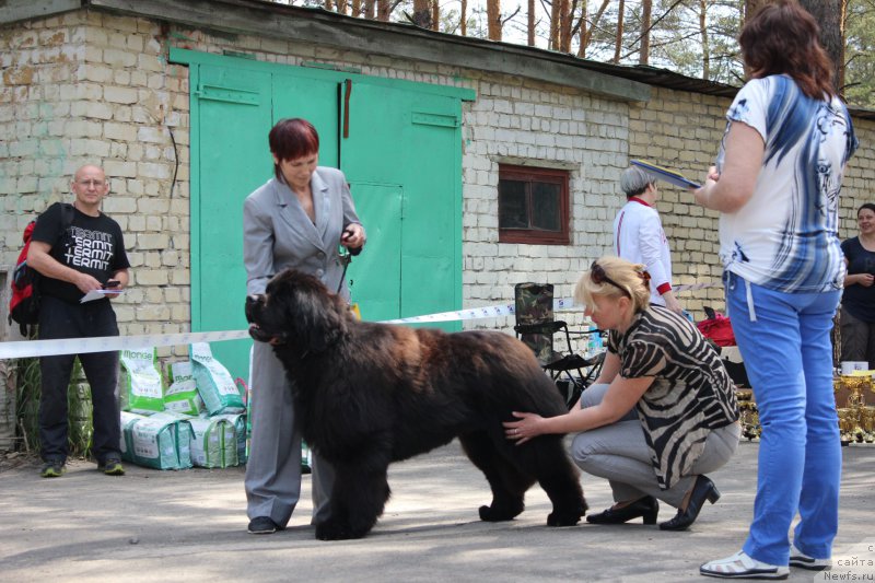 Фотография № 182691