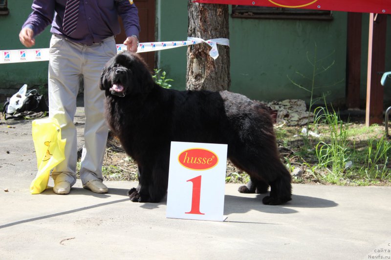 Фотография № 182700