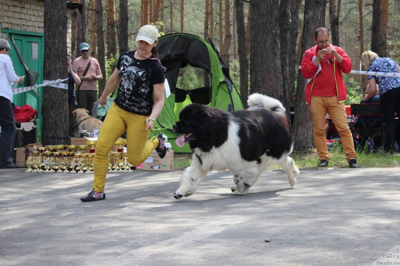 Фотография № 182701