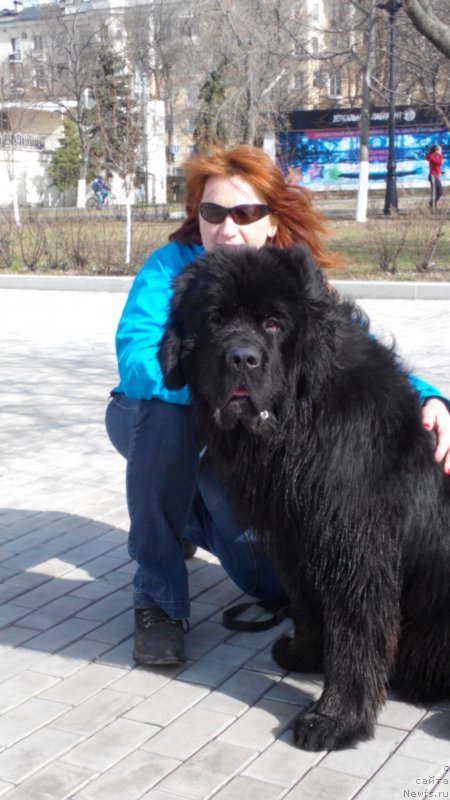 Фотография № 182707