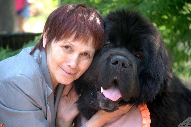 Фото: ньюфаундленд Блэк Диамонд Агидель от Потапа Чеззарио (Black Diamond Agidel ot Potapa Chezzario)