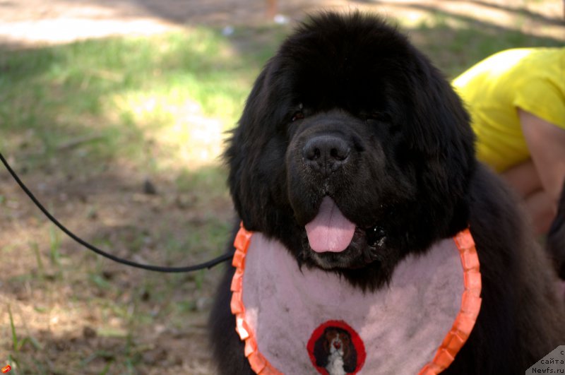 Фотография № 182712