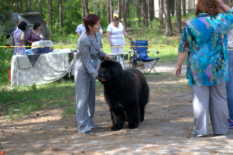 Фотография № 182714