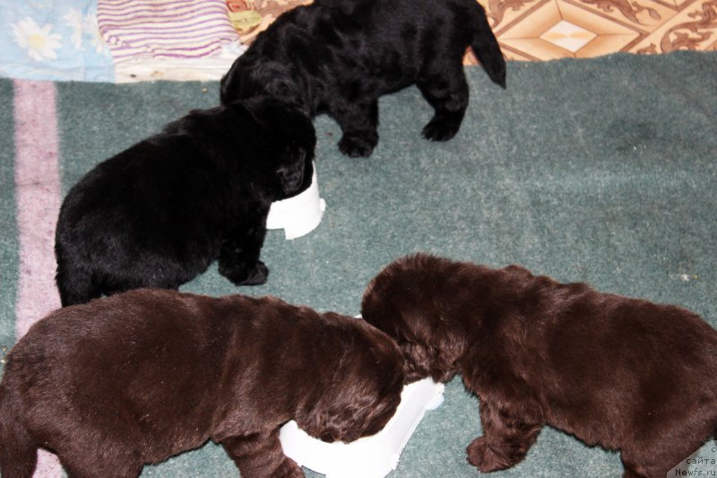 Фотография № 182745