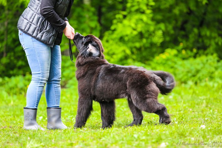 Фотография № 182762