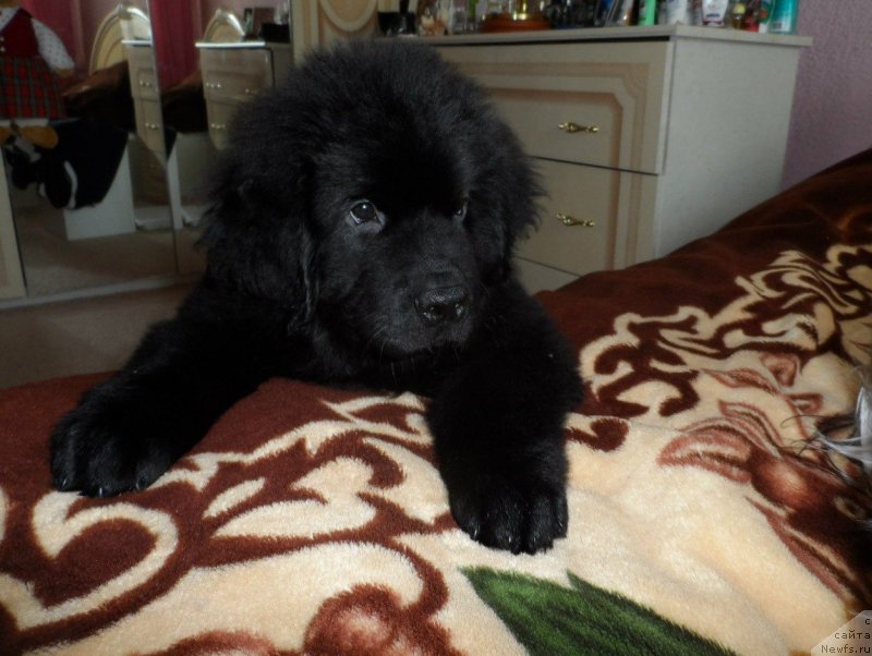 Фото: Юлия Гедвило