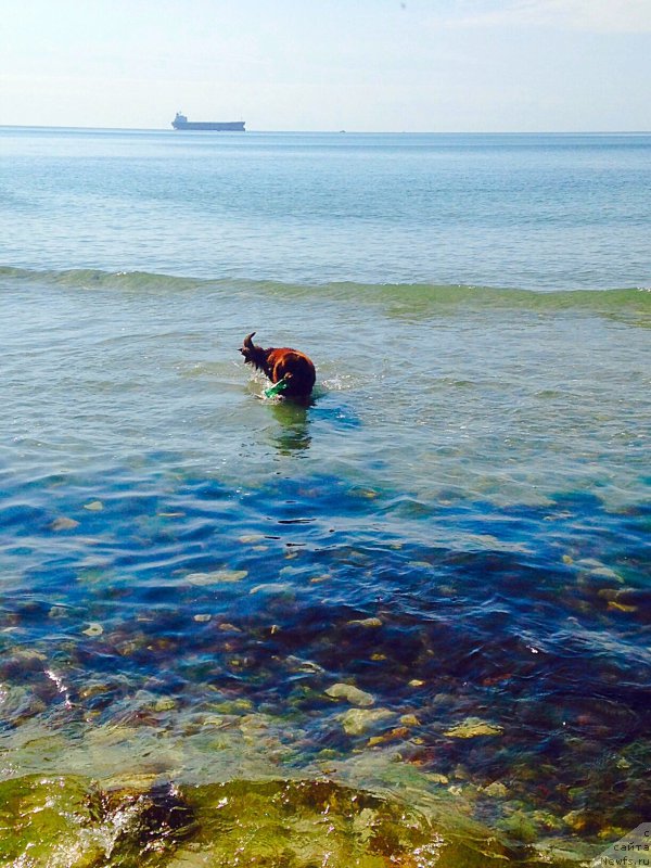 Фотография № 182798