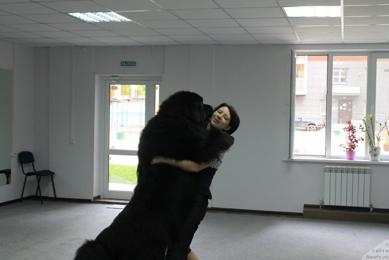 Фотография № 182812