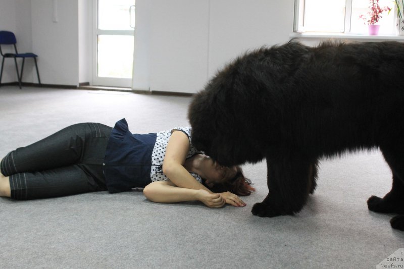 Фотография № 182814