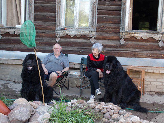 Фотография № 182816