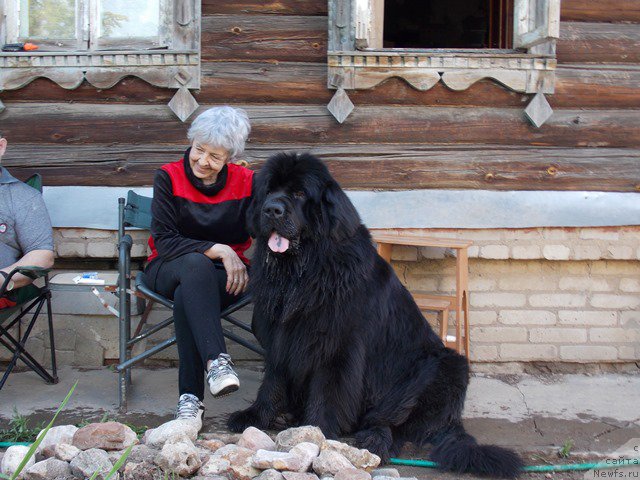 Фотография № 182817