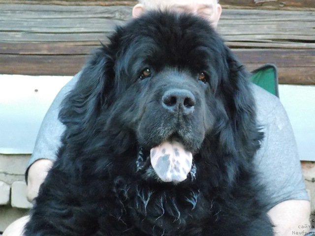 Фотография № 182819