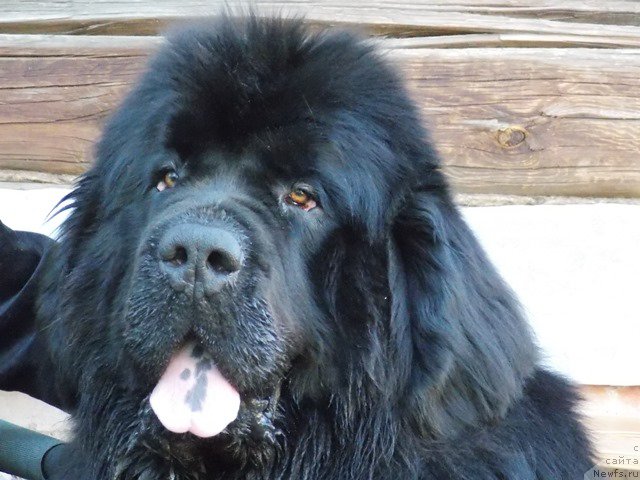 Фотография № 182820