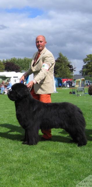 Фотография № 18286