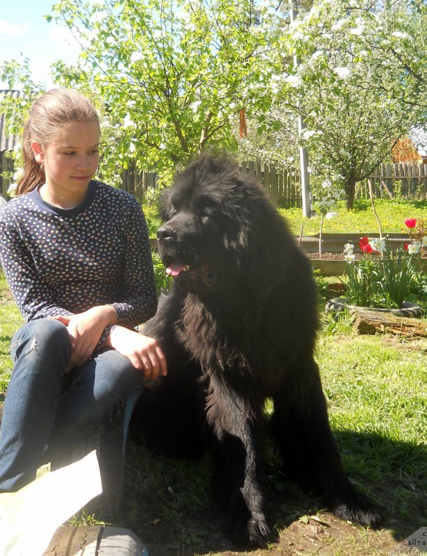 Фотография № 182868