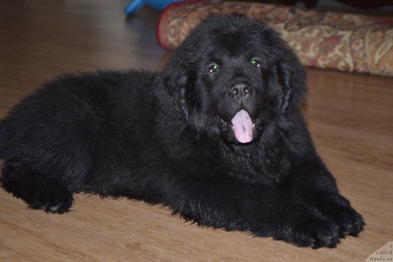 Фотография № 182871