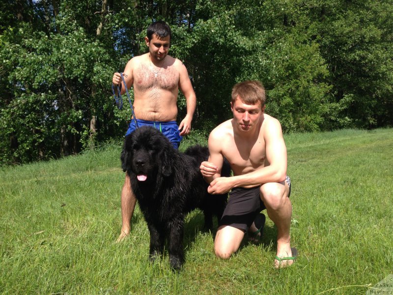 Фотография № 182872