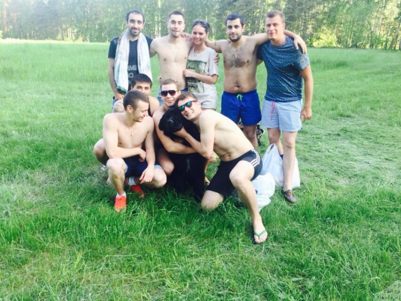 Фотография № 182873