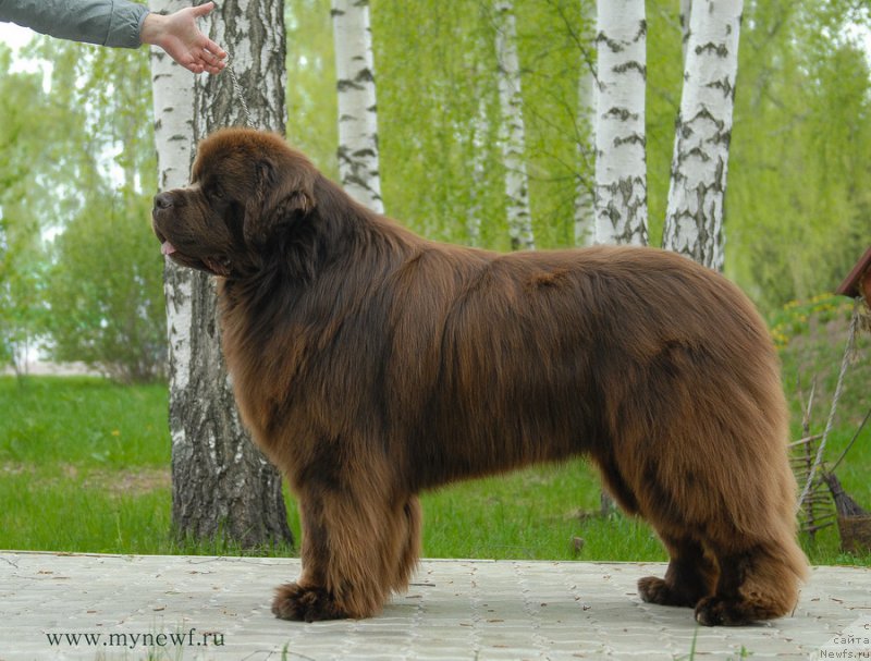 Фотография № 182890