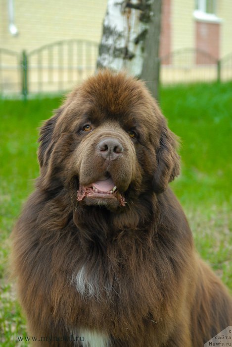 Фотография № 182891