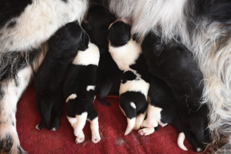 Фотография № 182892